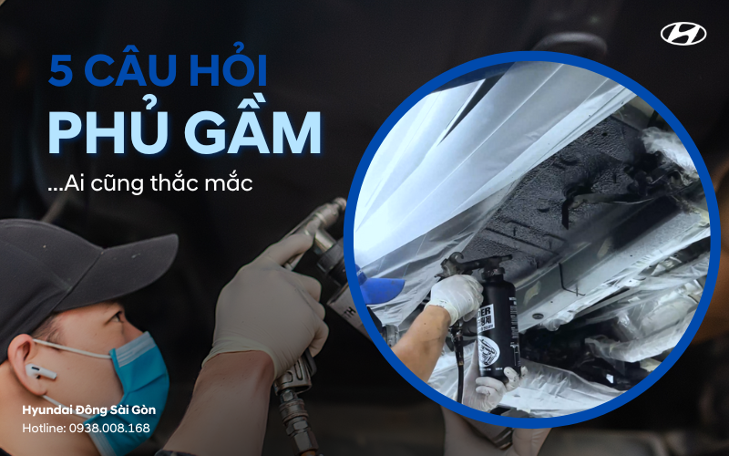 5 câu hỏi phủ gầm